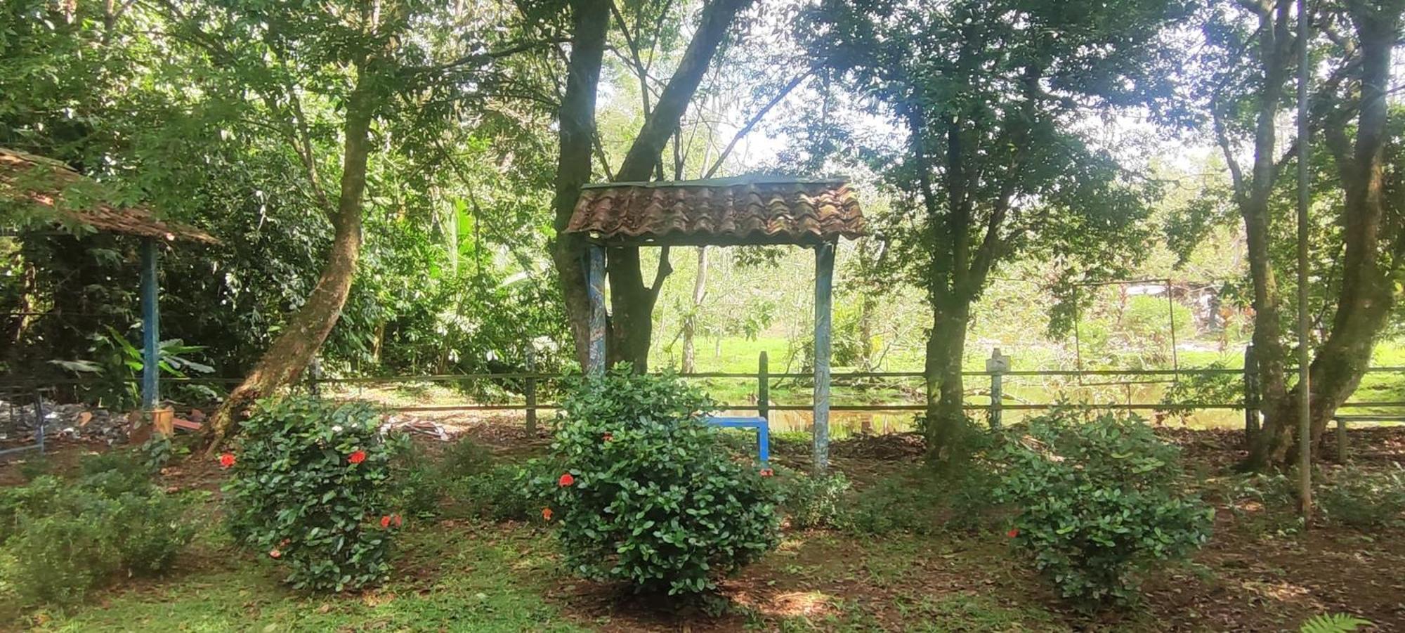 Hotel Maguey Tigre  Ngoại thất bức ảnh