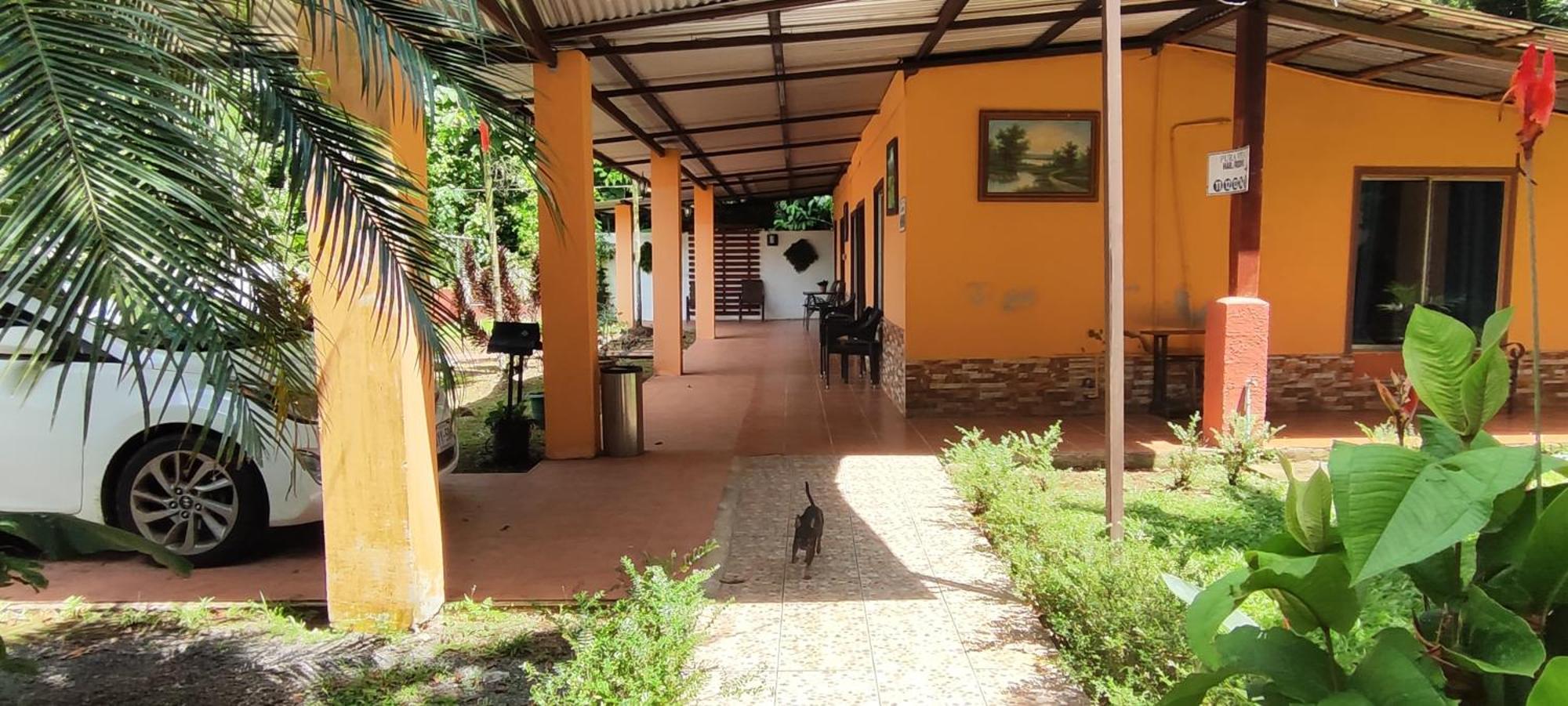 Hotel Maguey Tigre  Ngoại thất bức ảnh